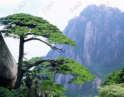 结婚选日子：如何挑选黄道吉日