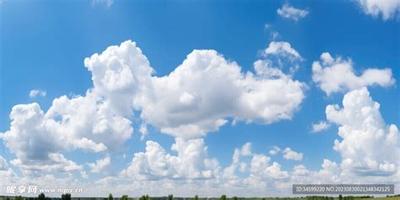 属虎人的性格特点与综合运势全解