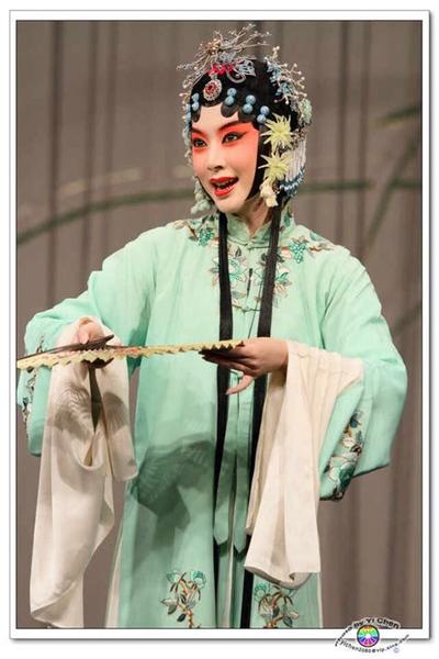 属蛇2026年运势详解